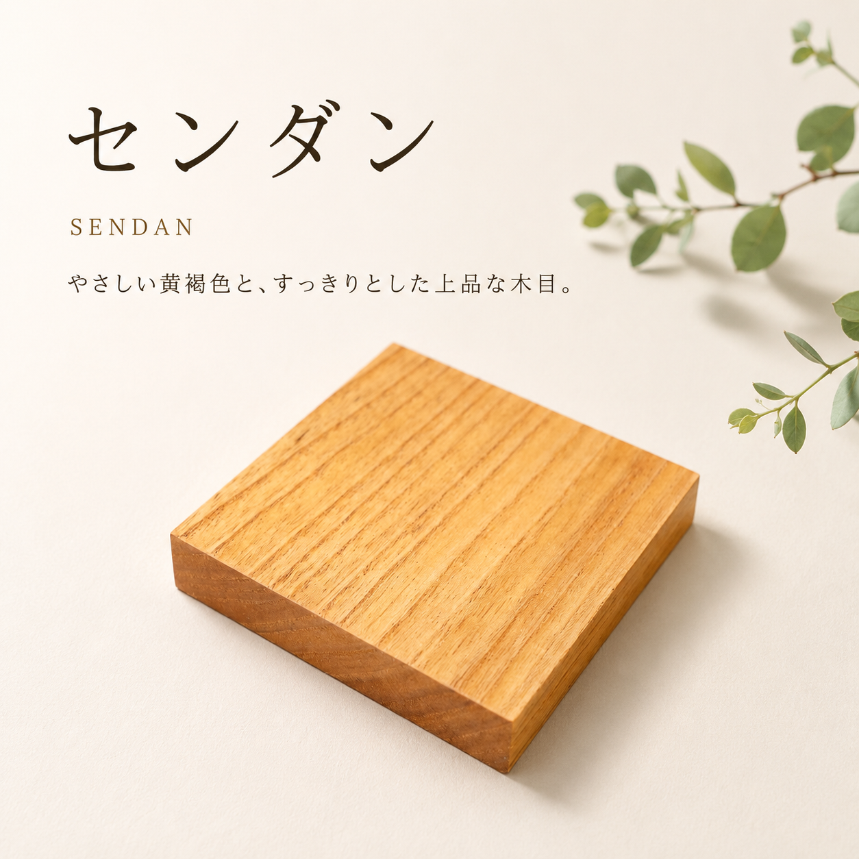 センダン