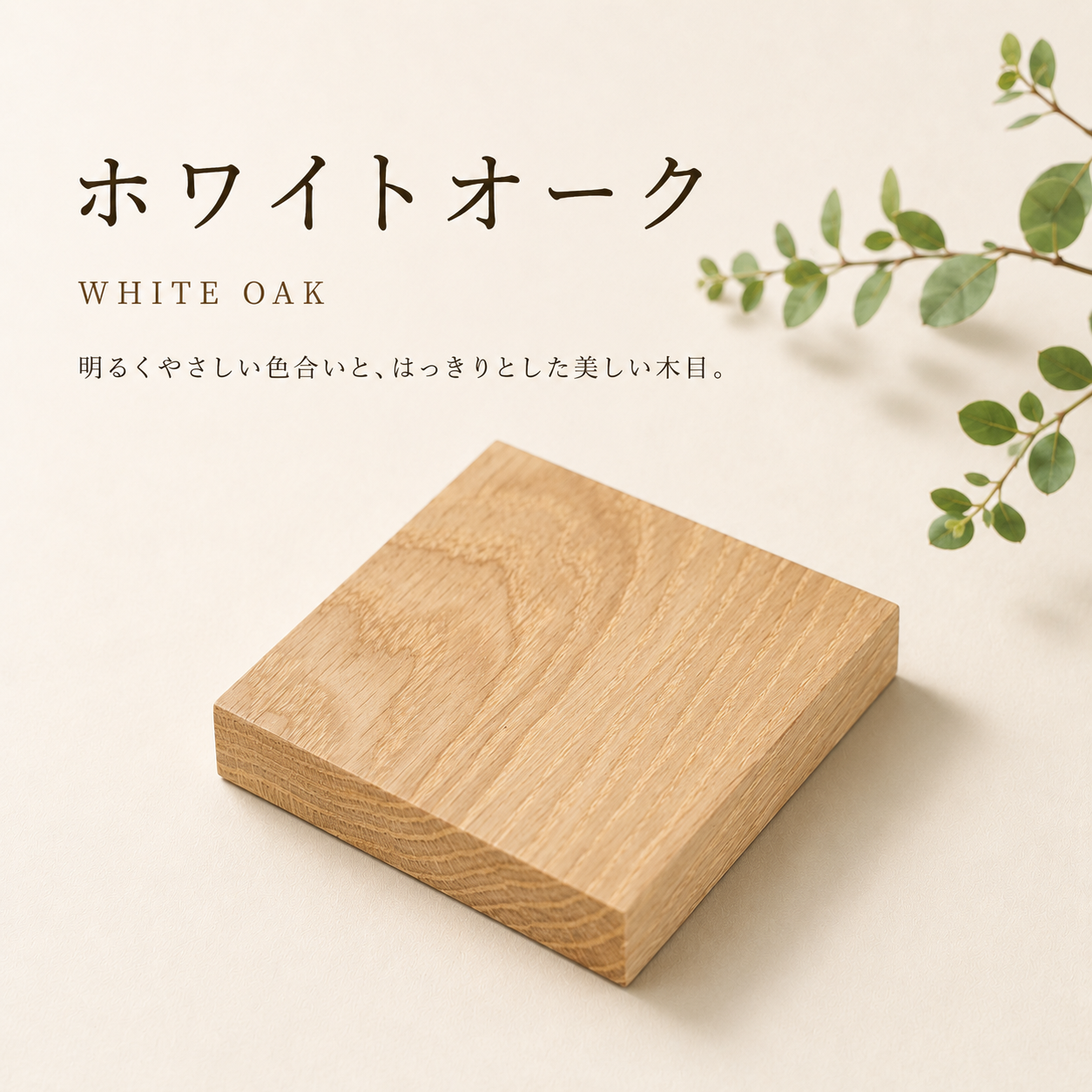 ホワイトオーク