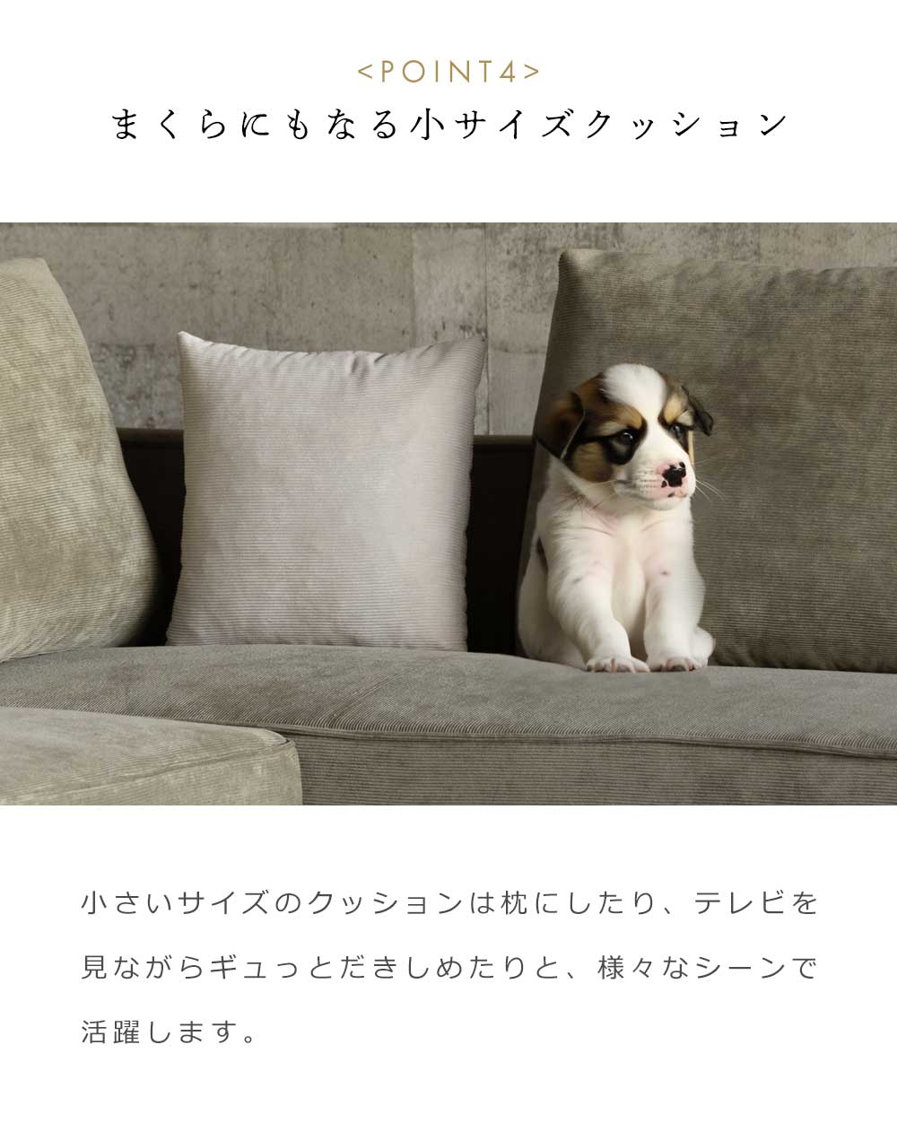 Grace 2Pソファ (クッション大x1、クッション小x1 付属)