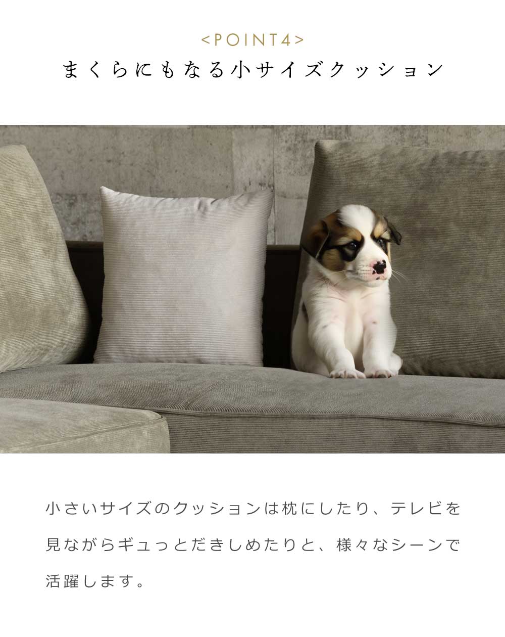 Grace カウチソファ (クッション大x2、クッション小x1 付属)