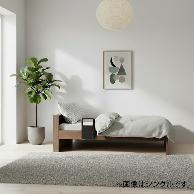 Tasia二口コンセント 手すり1本付き 畳ベッドフレーム セミダブル